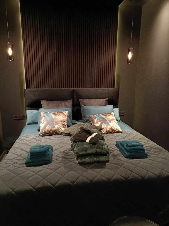 Postel nebo postele na pokoji v ubytování La Chambre Delta
