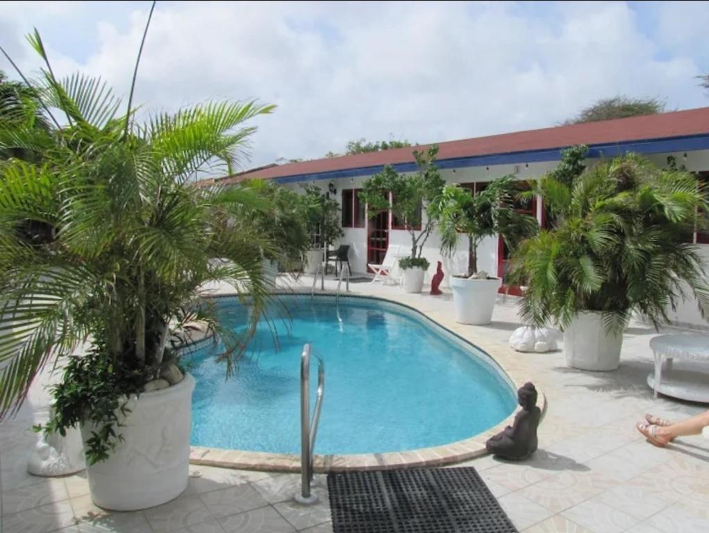 a large swimming pool with palm trees in front of a house at Palmita Hotel Hostel in Oranjestad