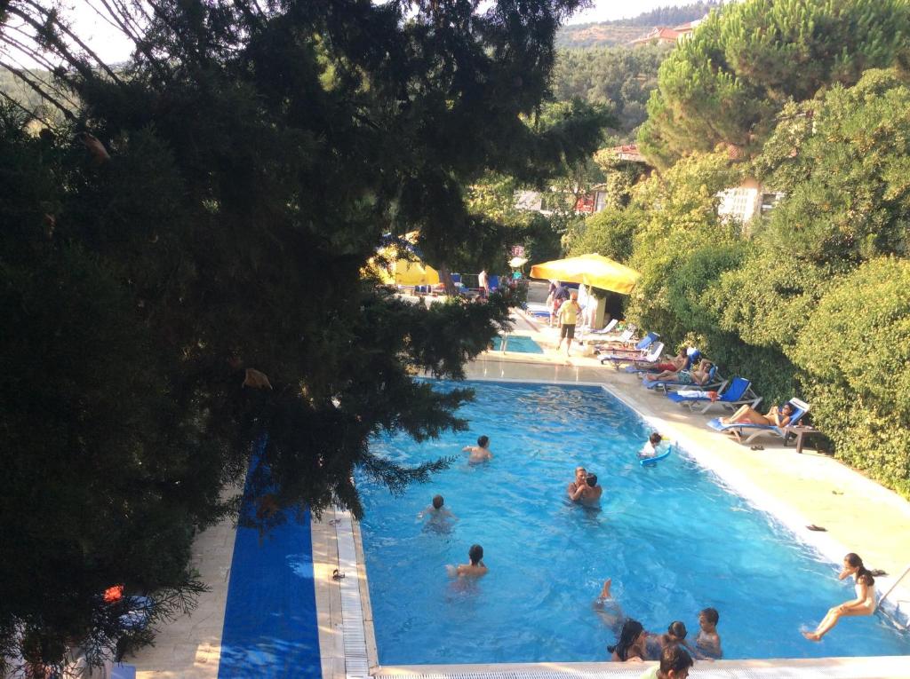 Bazén v ubytování Atamer Doga Resort nebo v jeho okolí