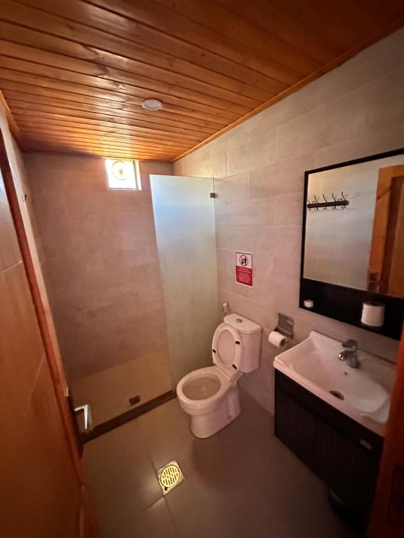 a bathroom with a toilet and a sink at Rum Elegant luxury camp in Wadi Rum