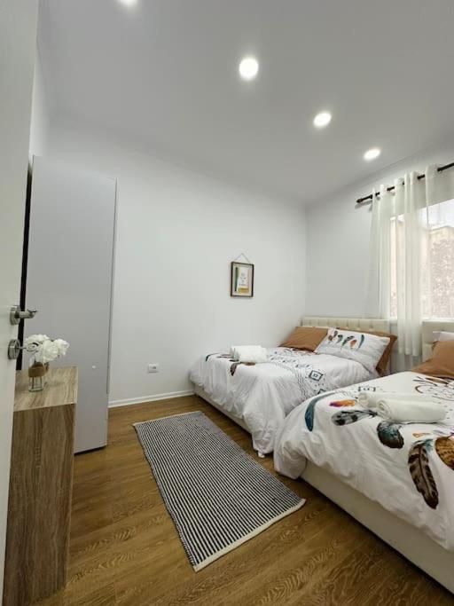 Cozy Apartment in Tirana