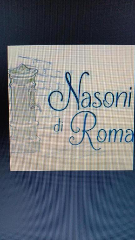 NASONI DI ROMA (VICINISSIMO BASILICA SAN GIOVANNI IN LATERANO) - Resim 44