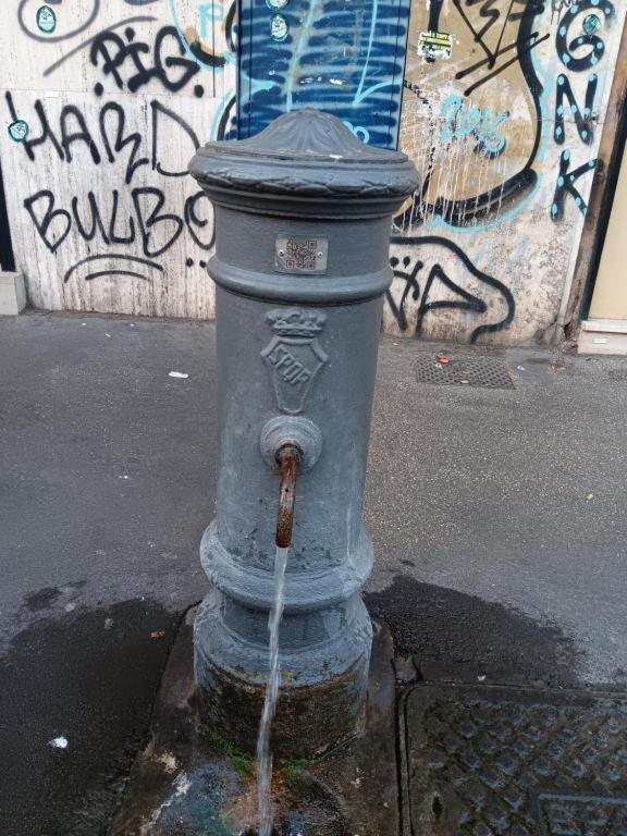NASONI DI ROMA (VICINISSIMO BASILICA SAN GIOVANNI IN LATERANO) - Resim 45