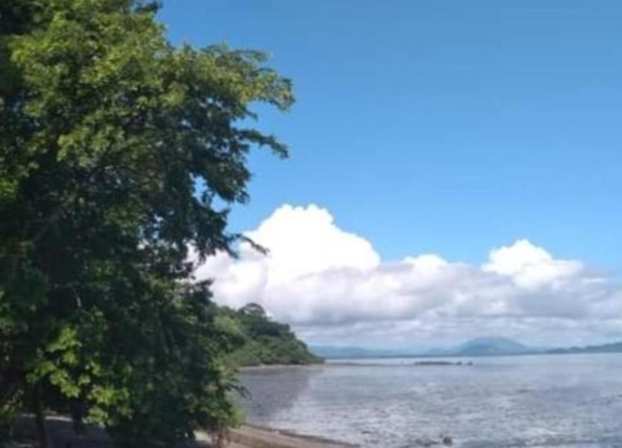 a view of a body of water with a tree at Casa La Cecilia 2 