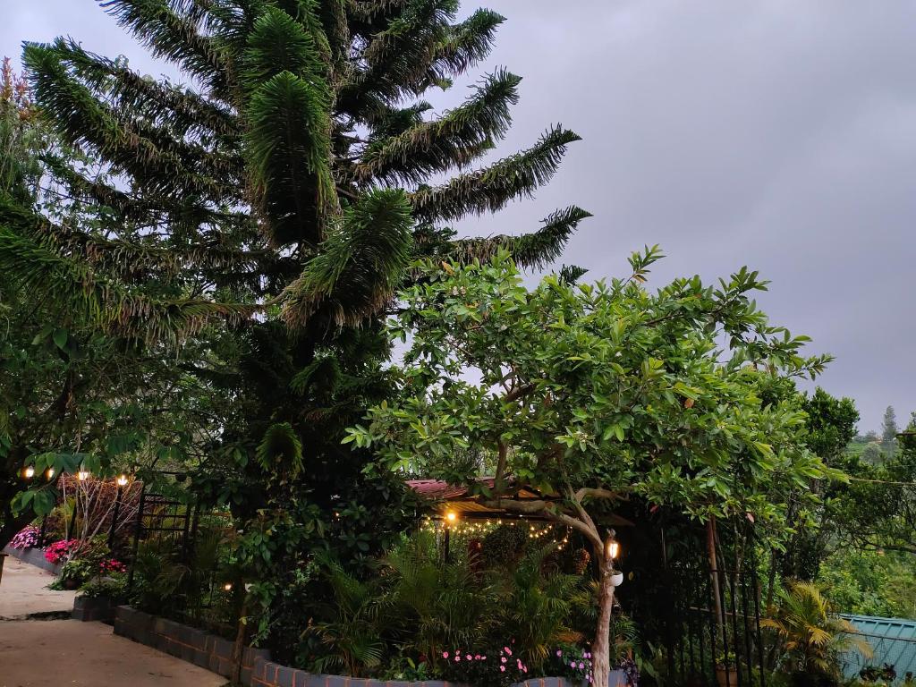 a tree in a garden next to a fence at Silver Spruce 2BHK Entire Floor Kotagiri in Kotagiri