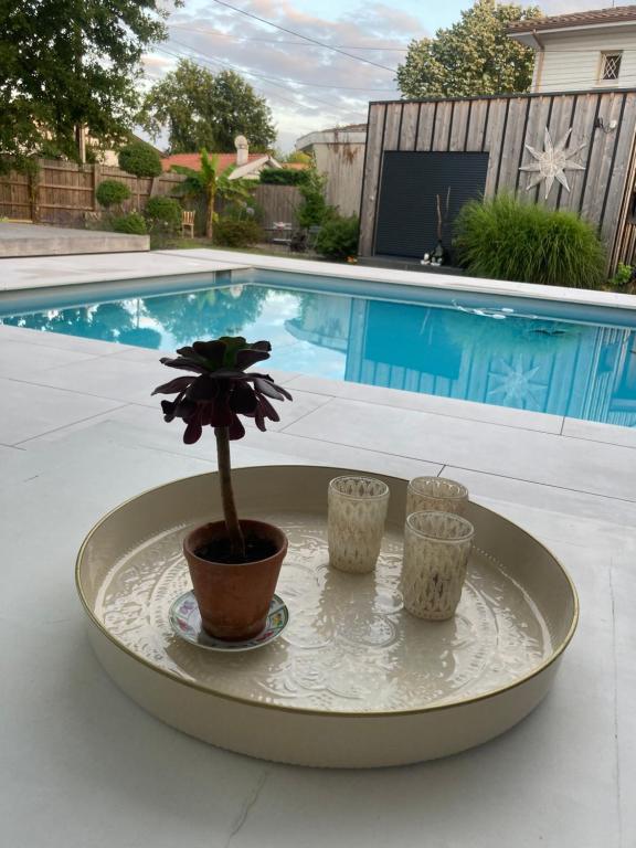 une plante en pot sur une table à côté d'une piscine dans l'établissement Charmante dépendance, à Arès