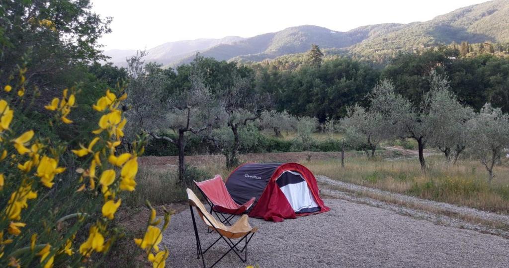 Příroda nedaleko luxury tent