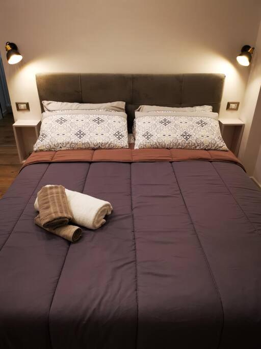 Friendly Apartment