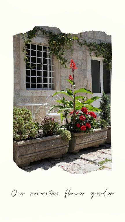 Zahrada ubytování APARTMENTs VISIT PERAST
