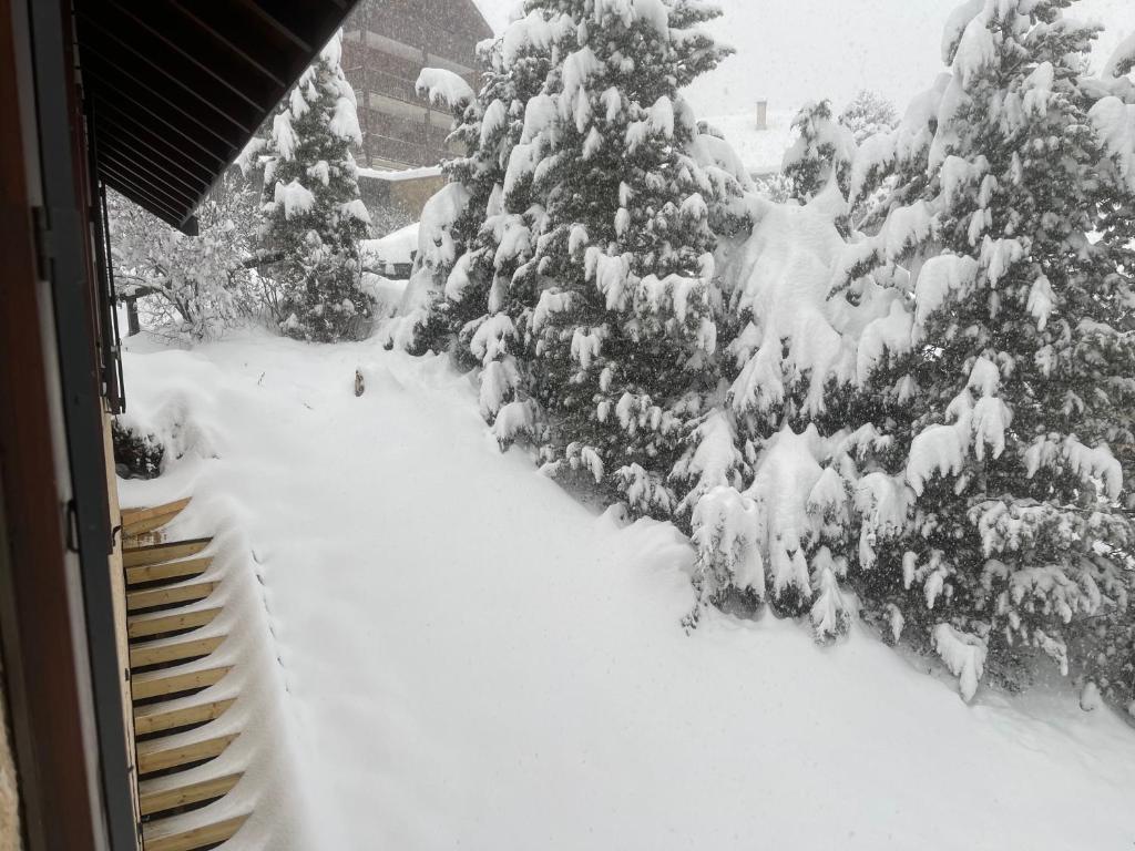 Serre Chevalier Studio 30 m2 coin montagne à 8 Minutes des Pistes v zime