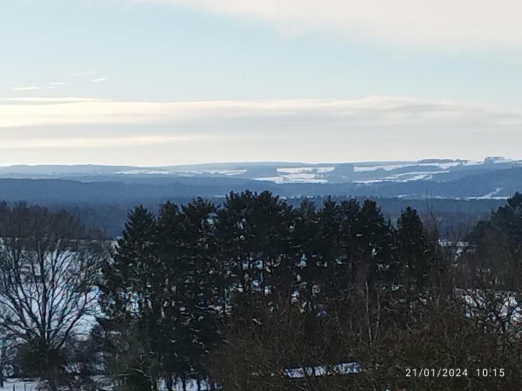 a view of trees and mountains in the distance at Gîte "Aux Pieds des Ar'den" la chambre 1 est fermée et la chambre 2 est dans le hall de nuit séparée par un rideau in Houyet