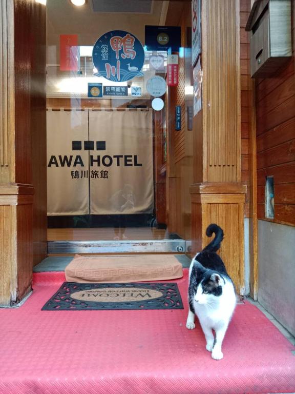 Domácí mazlíčci ubytovaní s hosty v ubytování GAWA Hotel