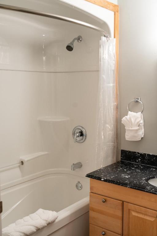 a bathroom with a bath tub and a sink at Albert's in Shelburne