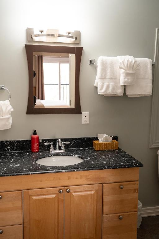 a bathroom with a sink and a mirror and towels at Albert's in Shelburne