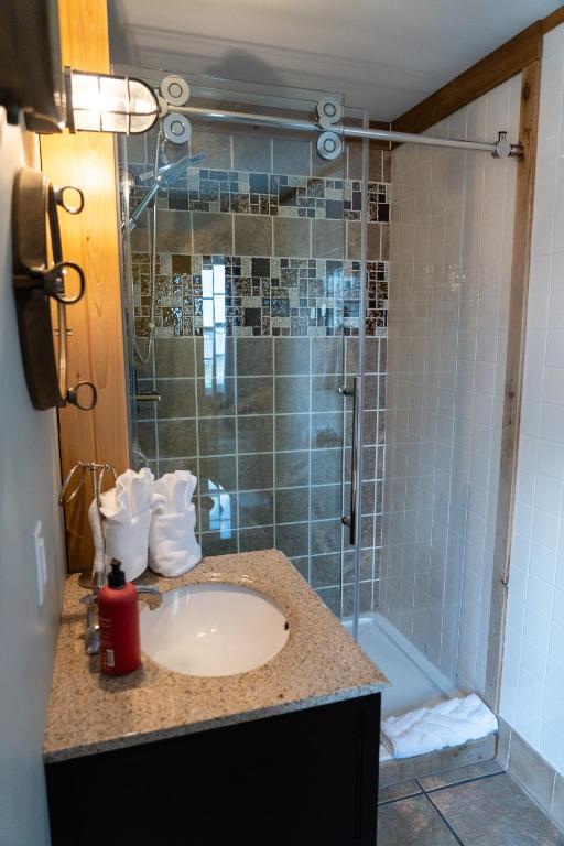 a bathroom with a sink and a shower at Albert's in Shelburne