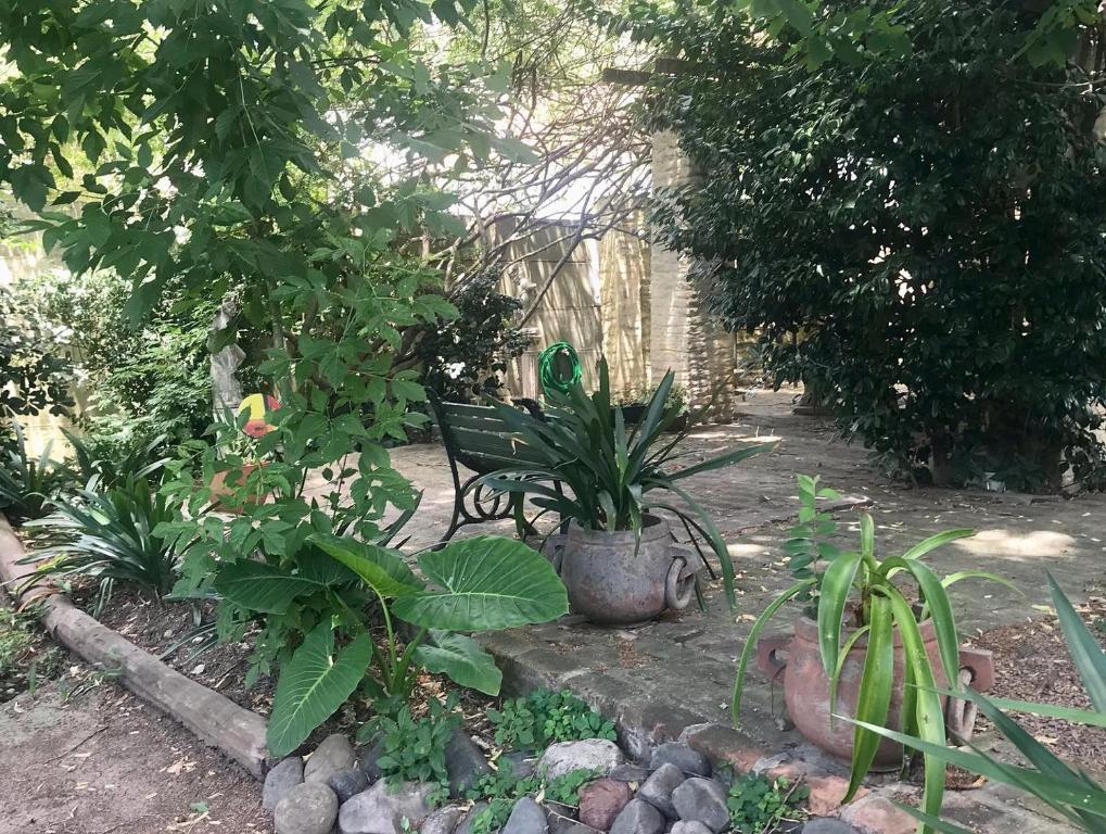 A garden outside Posada City Bell