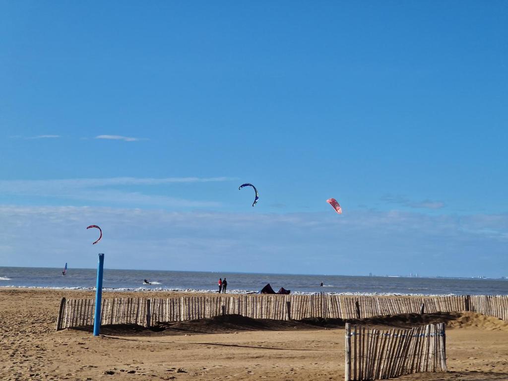 a group of people flying kites on the beach at Appartement Châtelaillon-Plage, 4 pièces, 6 personnes - FR-1-706-11 in Châtelaillon-Plage
