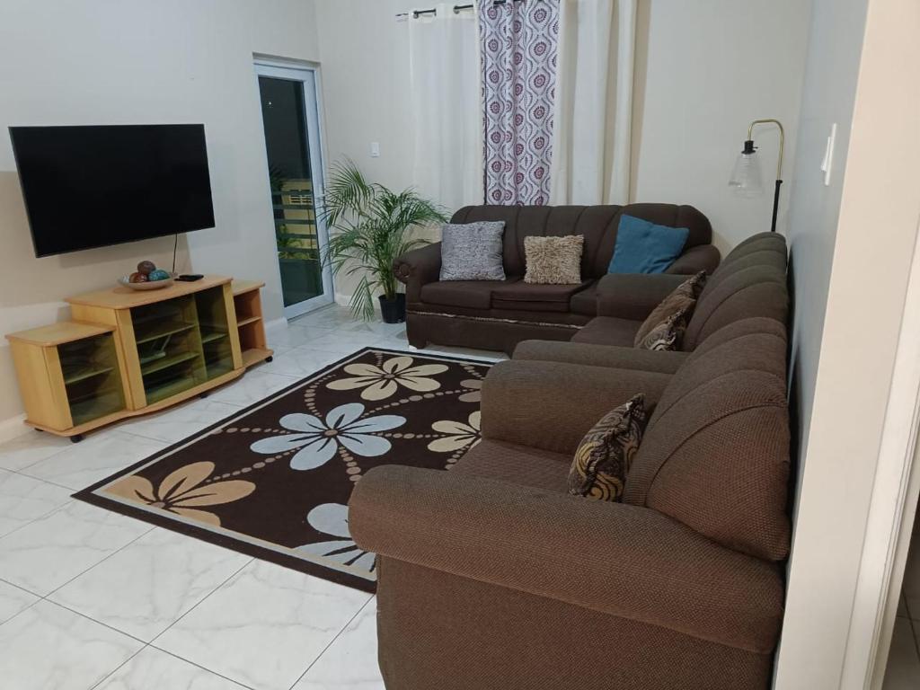 a living room with a couch and a flat screen tv at Lovely 2 BedRoom c̅ Netflix across National Stadium Kingston in Kingston