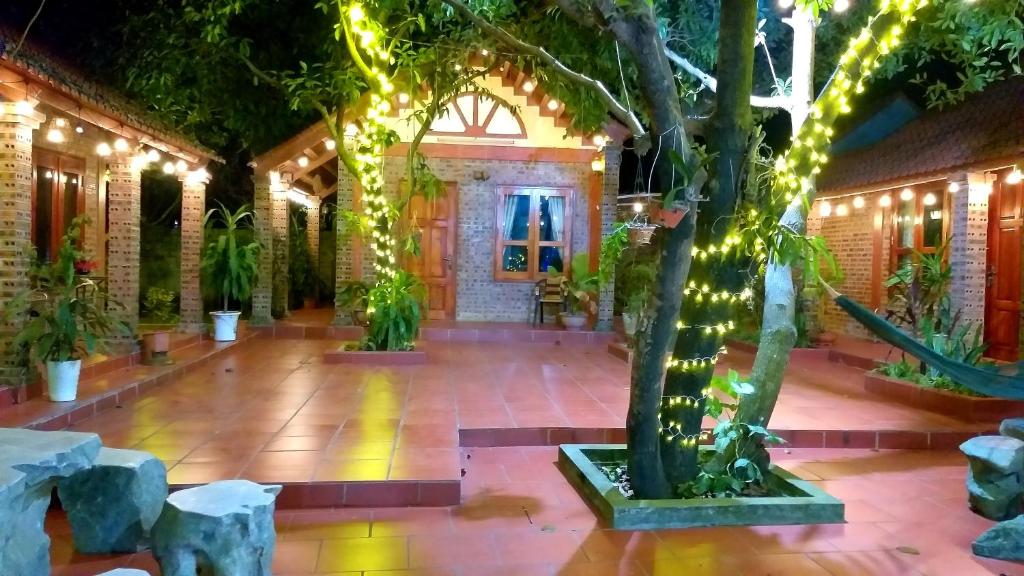 un patio con un árbol con luces encendidas en Tam Family Homestay, en Ninh Binh