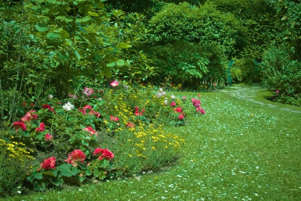 Abaca Messidor by Happyculture - Resim 29