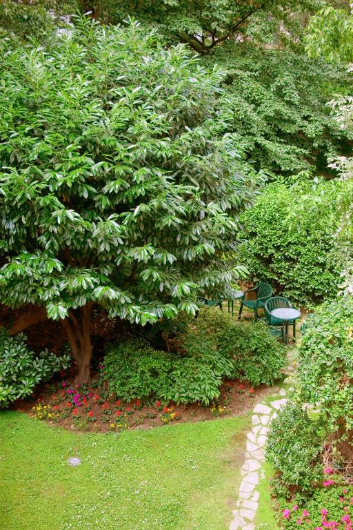 Abaca Messidor by Happyculture - Resim 15