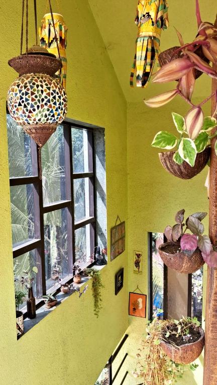 Fotografie z fotogalerie ubytování Bageecha B&B-Jal v destinaci Alibag