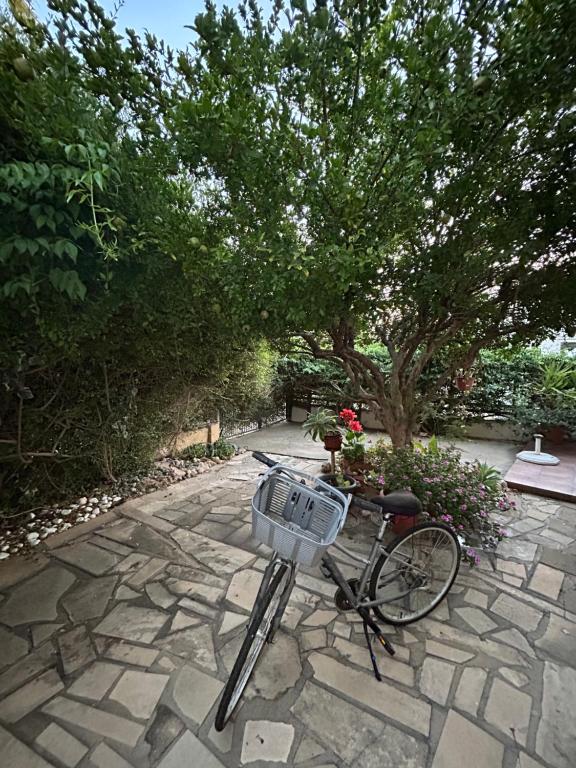 Zahrada ubytování Beautiful maisonette in Protaras