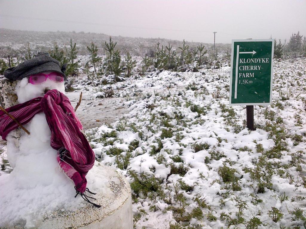 un hombre de nieve está de pie junto a una señal en Klondyke Cherry Farm, en Matjiesrivier