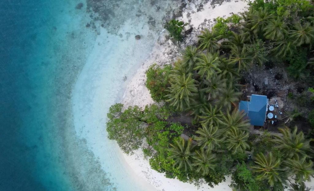 une vue aérienne d'une île tropicale avec des palmiers dans l'établissement Putuo eco-lodge, à Dadale
