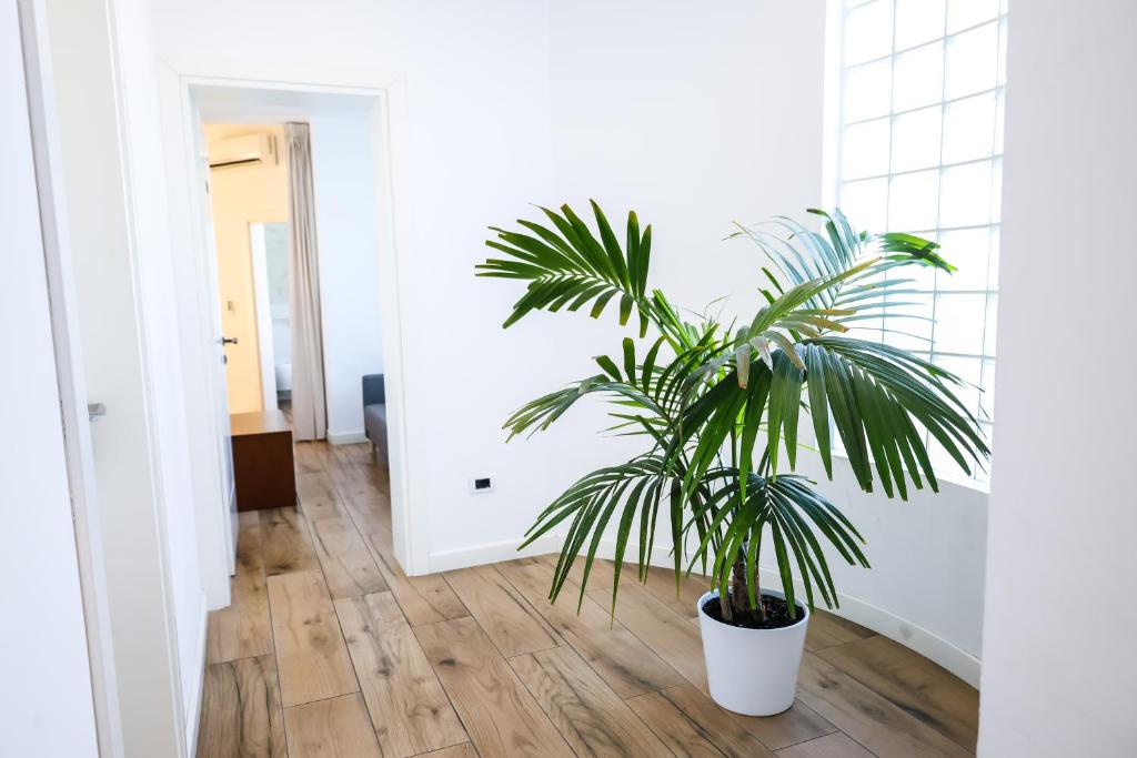 COSMO Beach Hotel - Image 10