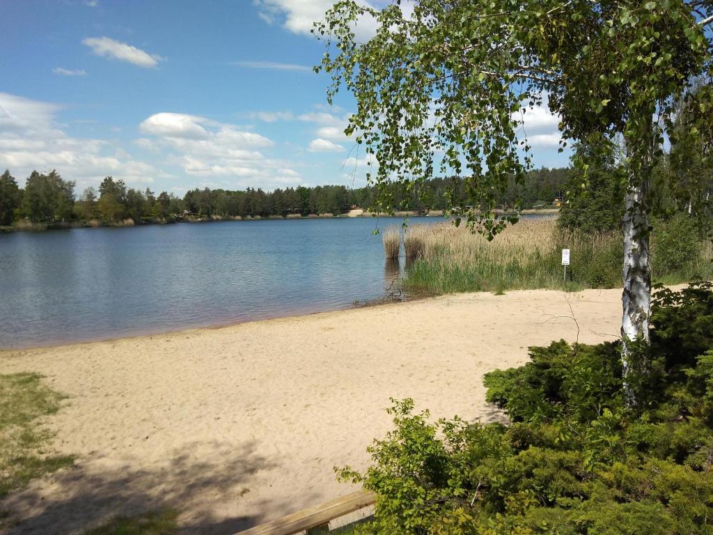vista su un lago con spiaggia sabbiosa di NEU! See-Ferienwohnung 3 a Großmöhlau