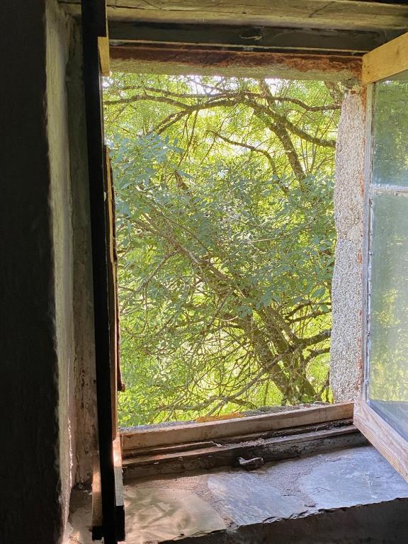 La Maison dans la forêt - Double Room