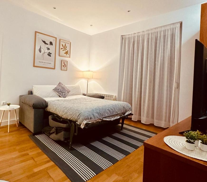 Dormitorio con cama, escritorio y TV en Apartamento Esencia San Vicente de la Sonsierra, en San Vicente de la Sonsierra