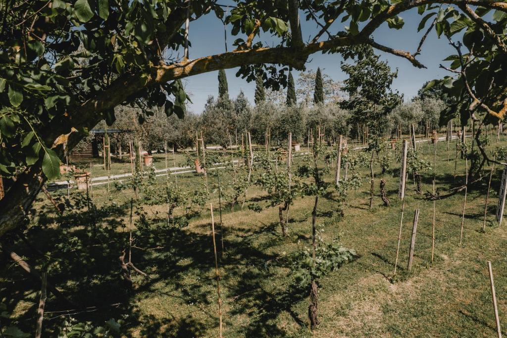A garden outside Podere Biagio