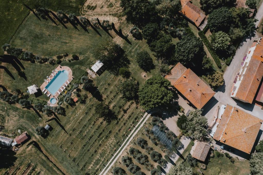 The swimming pool at or close to Podere Biagio