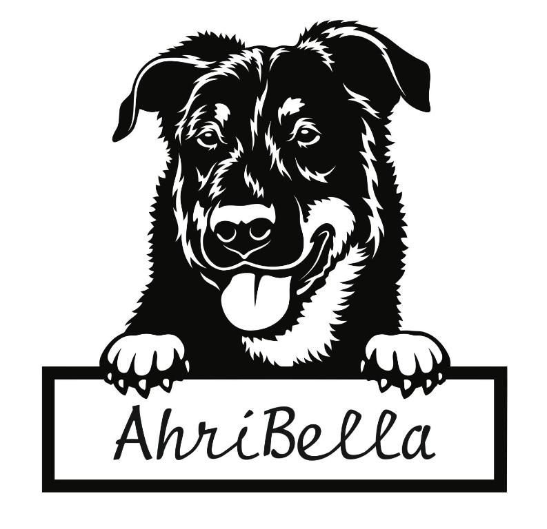 un cane nero con un cartello in bocca di URLAUB mit HUND -Ferienwohnung "AhriBella"- a Glowe