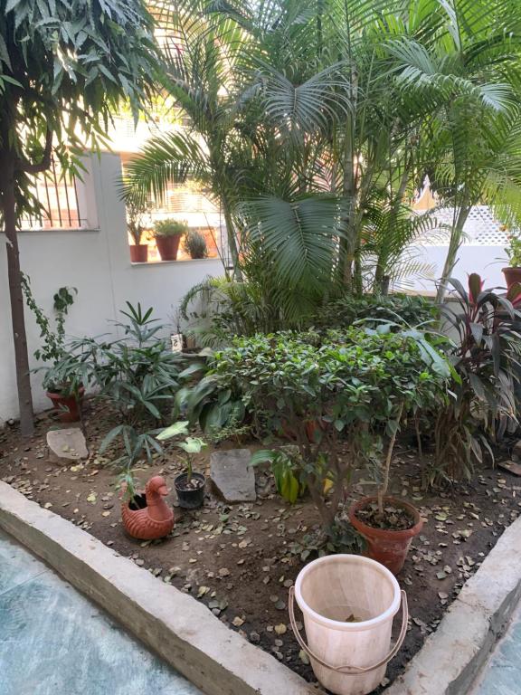 Ground level corner house at SDA, New Delhi (updated prices 2024)