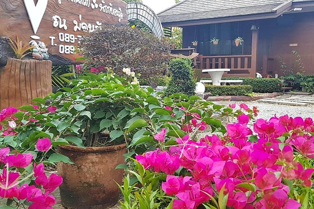 Zahrada ubytování Huen Pak Mon Chantra
