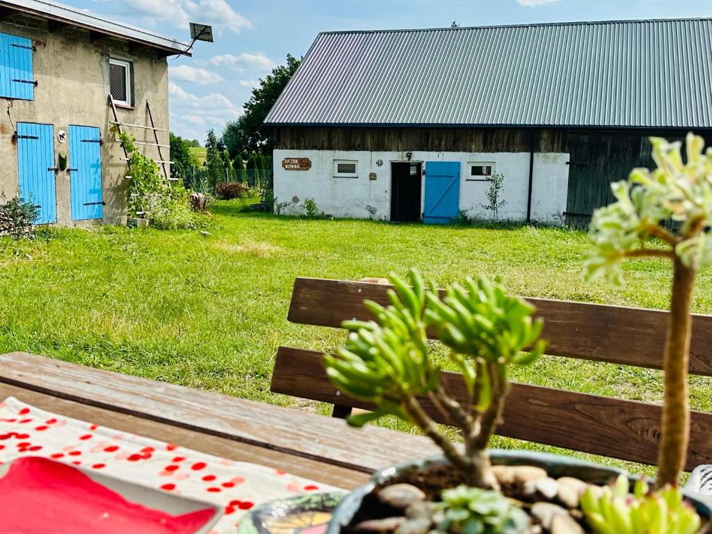 eine Holzbank mit einem Tisch und einer Pflanze darauf in der Unterkunft Stajnia Kopytkowo in Majdany Wielkie