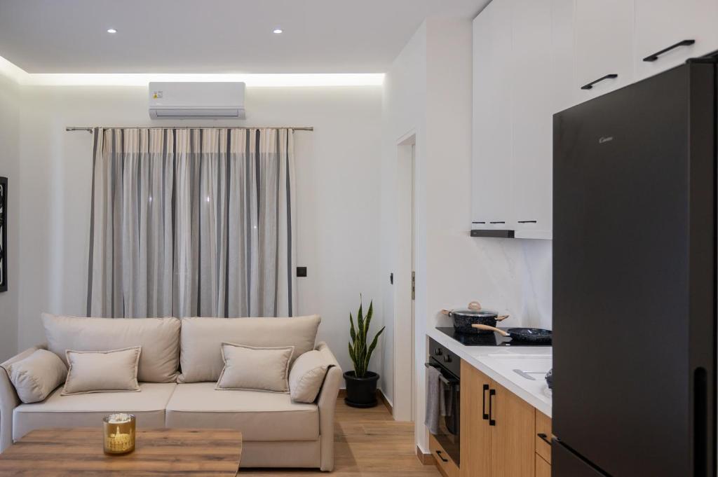 Kefalovriso Luxury Apartment 1 في نافباكتوس: غرفة معيشة مع أريكة ومطبخ