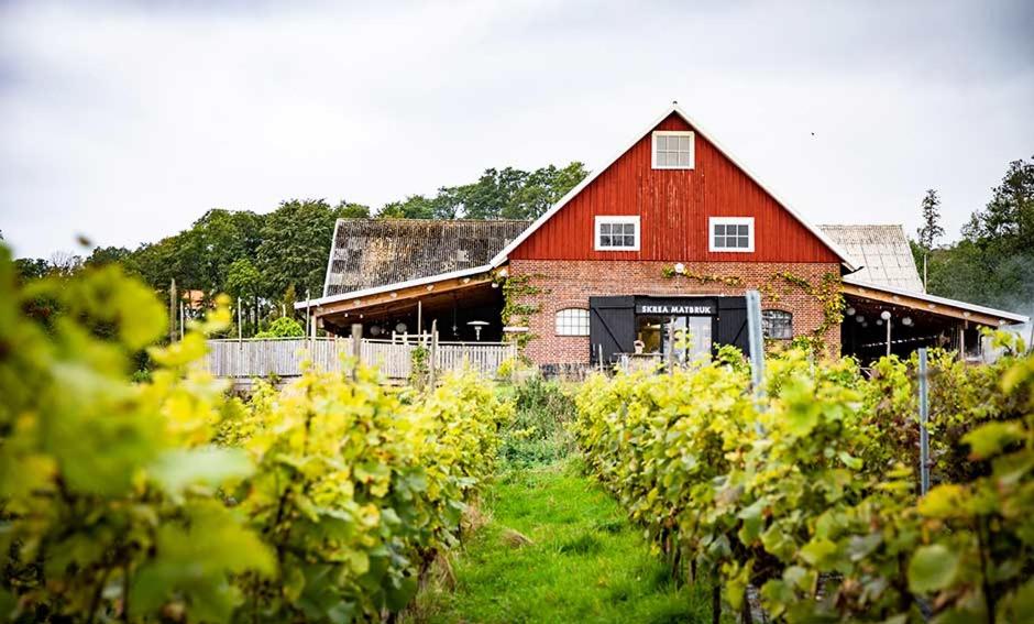 un granero rojo con un campo de vides en Skrea Backe Bo en Falkenberg