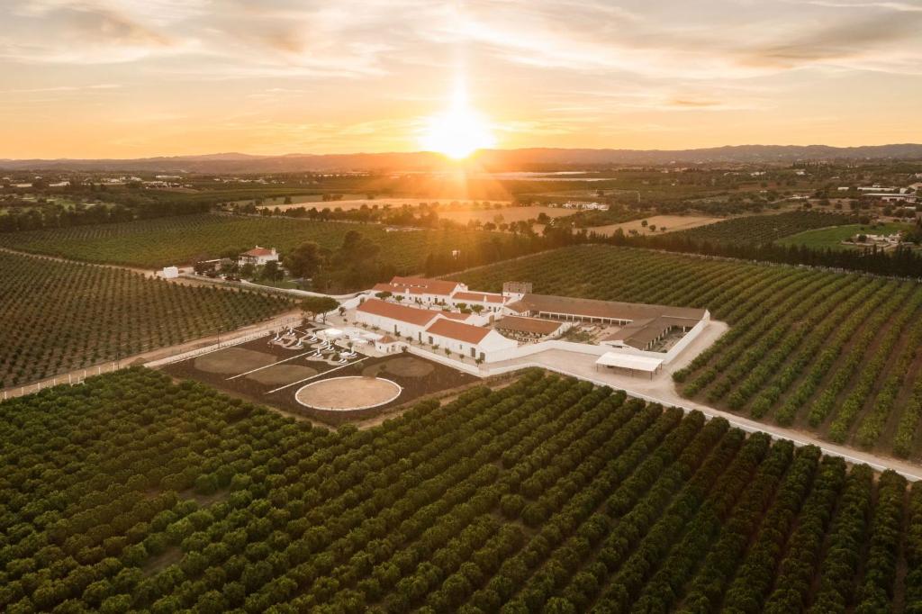 una vista aérea de un viñedo con puesta de sol en Casas da Quinta de Cima, en Vila Nova de Cacela