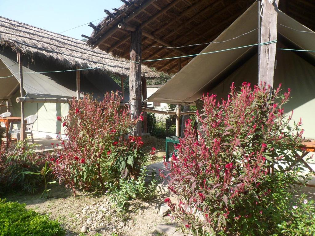 Zahrada ubytování Forest Hideaway Resort Pvt Ltd