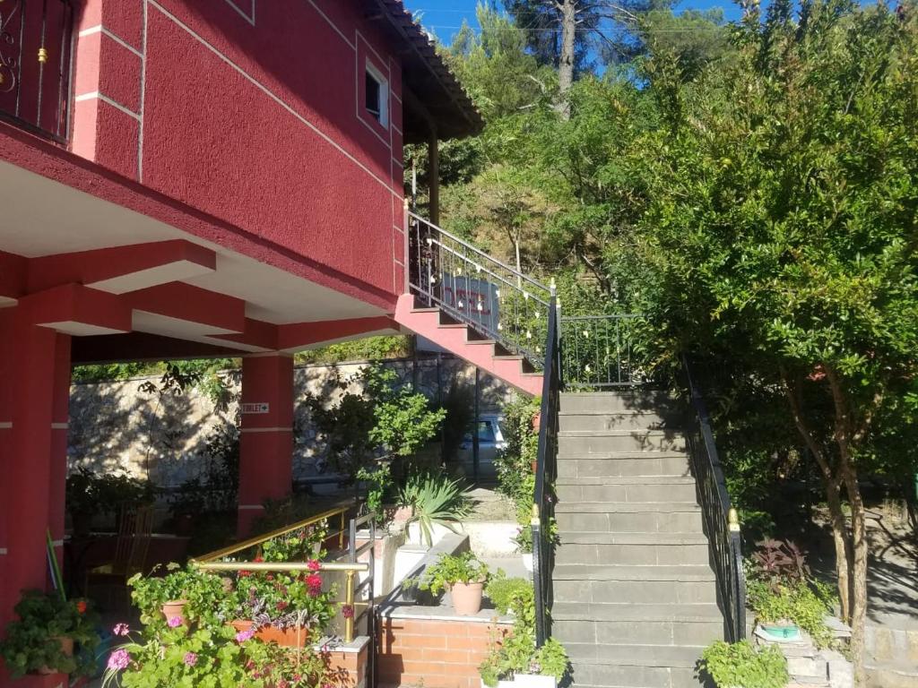 Hotel Flora - Image 8