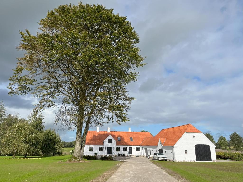 eine weiße Scheune mit orangefarbenem Dach und einem Baum in der Unterkunft Oustrupgård in Egtved