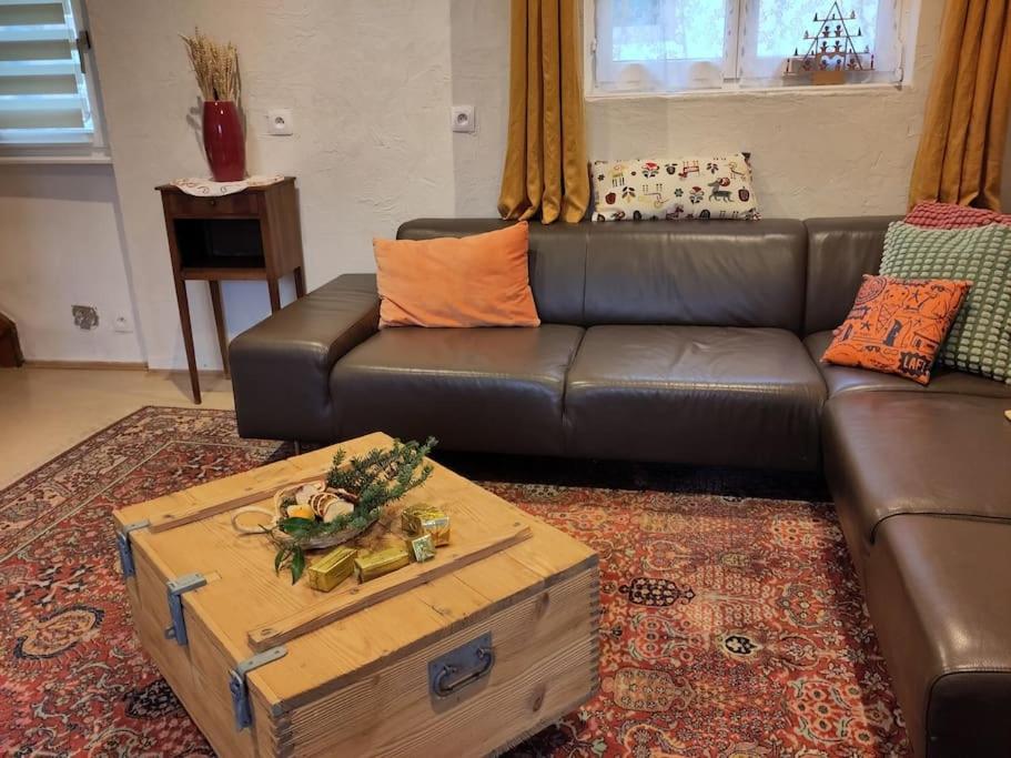 Gite spacieux et chaleureux 8p, route des vins – photo 24