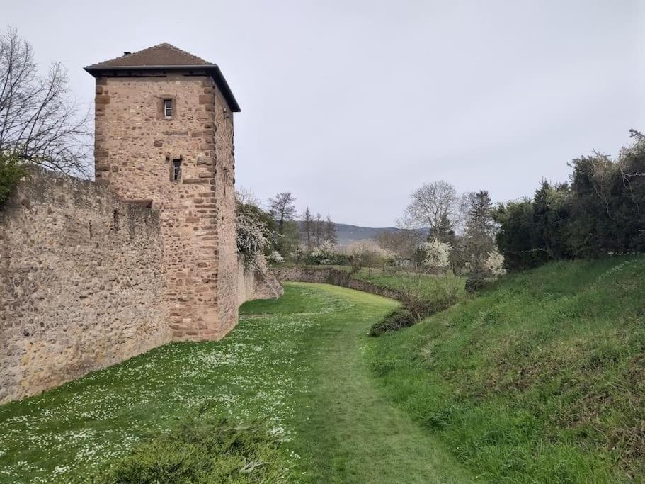 Gite spacieux et chaleureux 8p, route des vins – photo 30