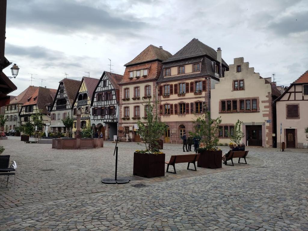 Gite spacieux et chaleureux 8p, route des vins – photo 32