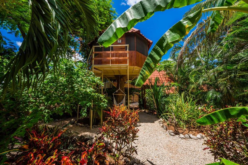 Zahrada ubytování Casa Tropical Playa Grande
