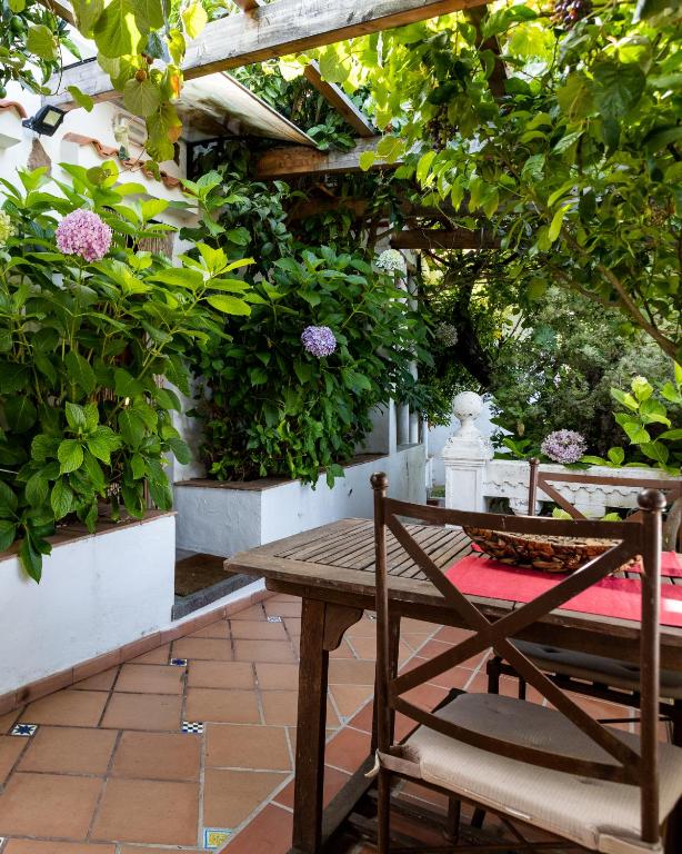 A garden outside El Estanco 14